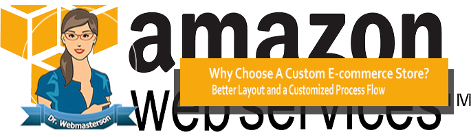 Why Choose a Custom e-Commerce Store